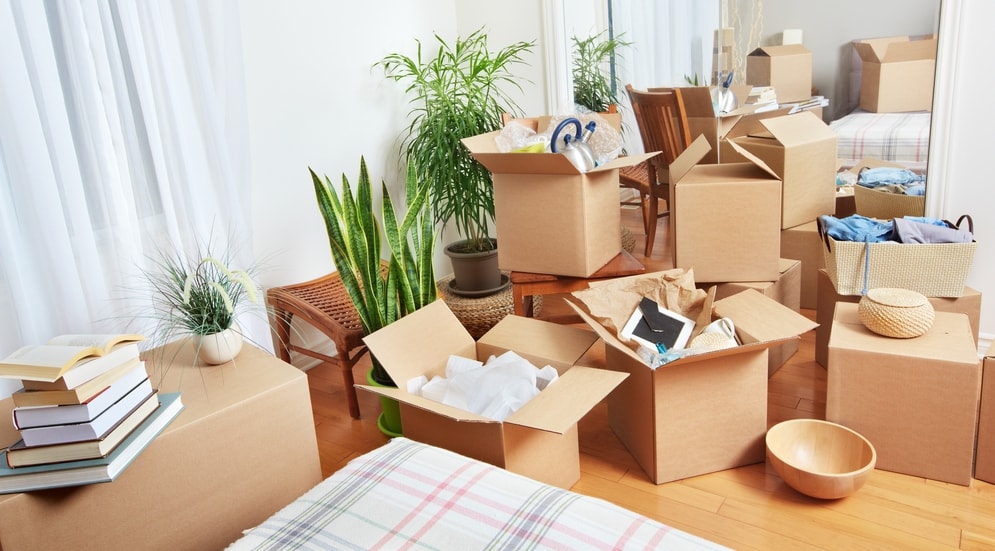 couple-packing-boxes-move